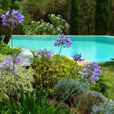 D'exception A Gigaro Avec Piscine Privee Et Climatisation - Fr-1-726-17 Villa *