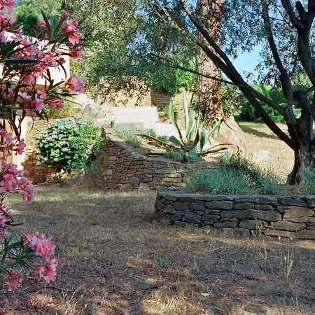 Villa D'exception A Gigaro Avec Piscine Privee Et Climatisation - Fr-1-726-17 *