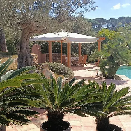 D'exception A Gigaro Avec Piscine Privee Et Climatisation - Fr-1-726-17 Villa La Croix-Valmer